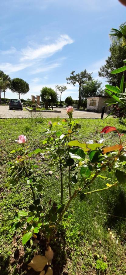 Masseria San Nicola B&B Torre Santa Susanna Luaran gambar