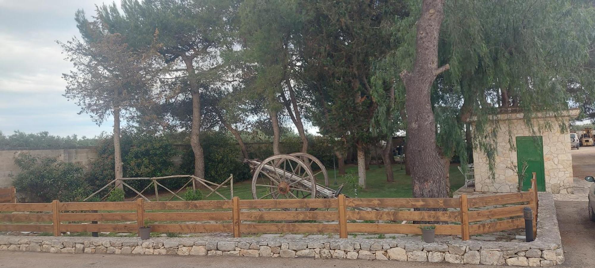 Masseria San Nicola B&B Torre Santa Susanna Luaran gambar